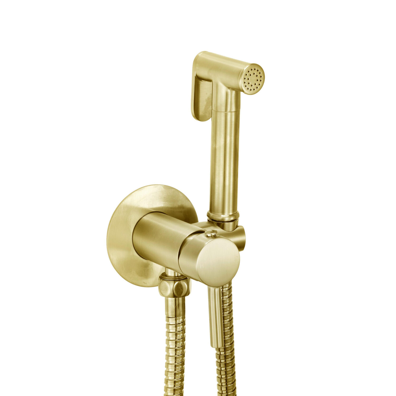Bayou Douche Handset, Flexi, Holder and Outlet Elbow - Brushed Brass