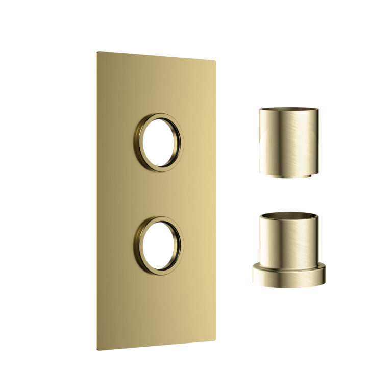 Bayou Concealed Plate with Sleeves (1 Outlet) - Brushed Brass