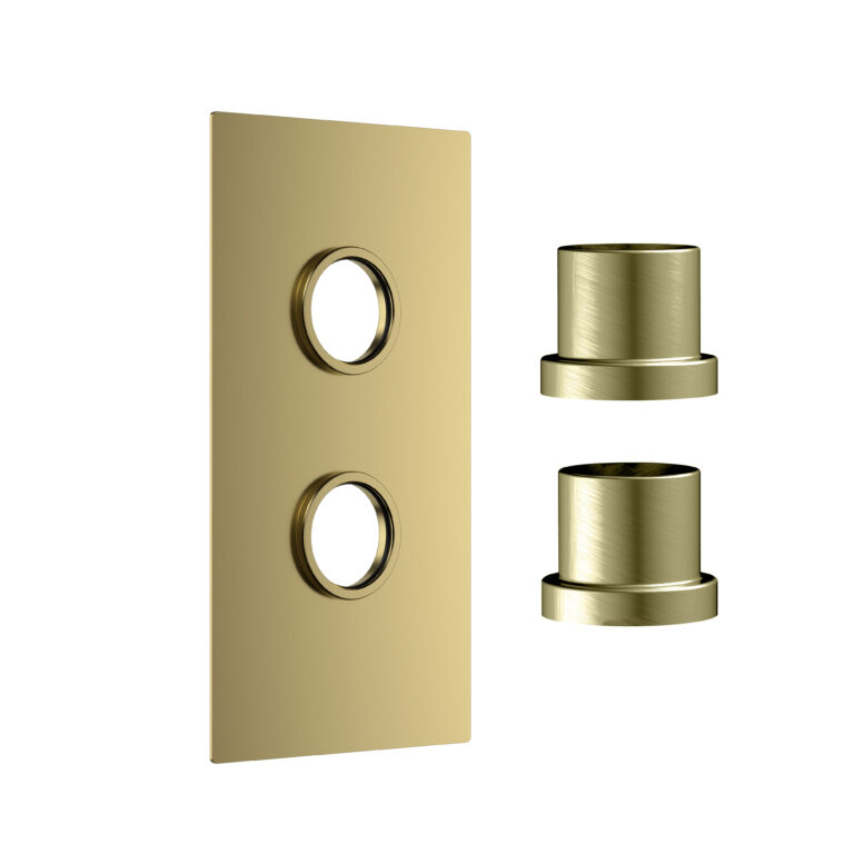 Bayou Concealed Plate with Sleeves (2 Outlet) - Brushed Brass