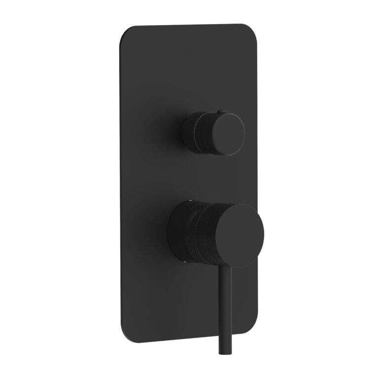 Bayou Core Concealed Manual Dual Outlet - Matt Black