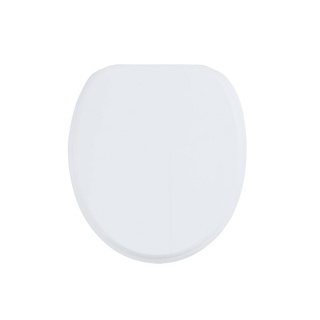 Bayou Amesbury Top Fix Soft Close Seat - Gloss White