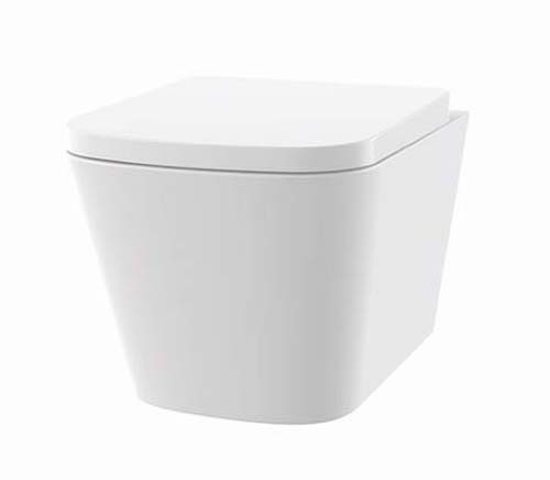 Bayou Rimless Wall Hung WC