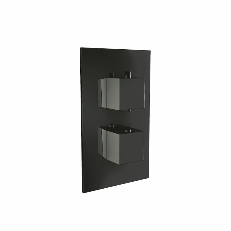 Bayou Dual Handle, 1 Outlet Concealed Valve - Black