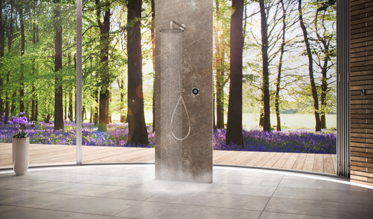 Elisa Intuition Divert Concealed Smart Hand Shower, Fixed Wall Head & Remote - HP/Combi - Brushed Brass