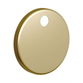 Bayou Hinge Cover Caps - Brushed Brass