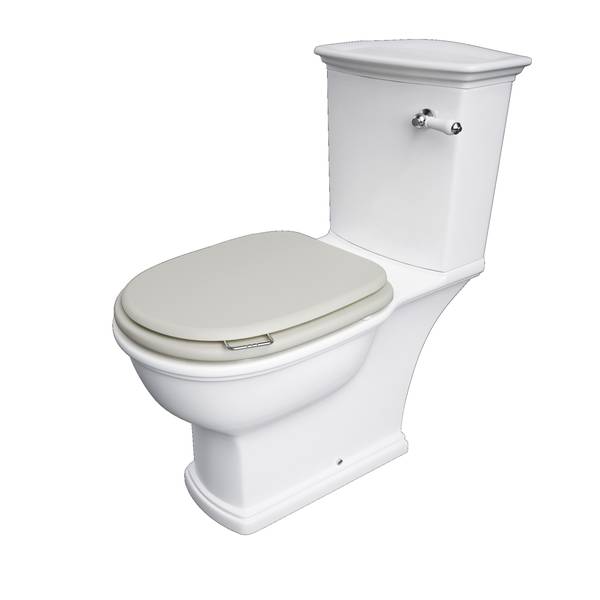 RAK Washington Wood Soft Close Seat and Cover - Matt Greige