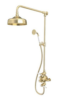 Tavistock Dual Function Exposed Shower - Brushed Brass